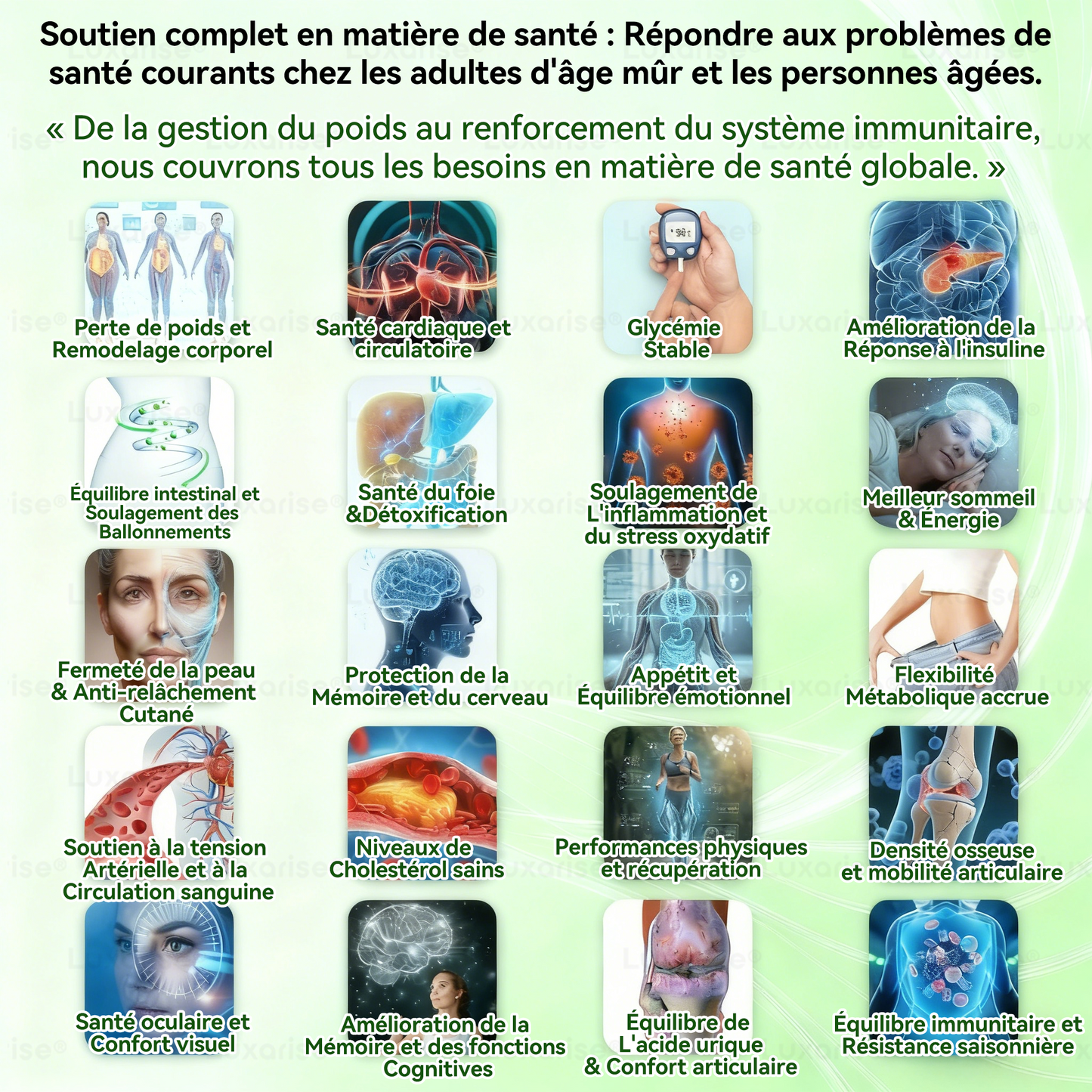 Magasin Officiel |  Luxarise® Moringa & Bérbérine 10-en-1 Patch Nanomicro-aiguilles Avancé👩‍⚕️ (Une application quotidienne, résultats visibles en 7 jours)🗼 Obésité, Diabète, Apnée du sommeil, Problèmes articulaires