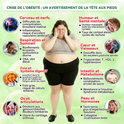 Magasin Officiel✅𝑳𝒖𝒙𝒂𝒓𝒊𝒔𝒆® 𝑴𝒐𝒓𝒊𝒏𝒈𝒂 𝒙 𝑩𝒆𝒓𝒃é𝒓𝒊𝒏𝒆 10-𝒆𝒏-1 𝑷𝒂𝒕𝒄𝒉 𝒂𝒗𝒂𝒏𝒄é à 𝒏𝒂𝒏𝒐-𝒎𝒊𝒄𝒓𝒐-𝒂𝒊𝒈𝒖𝒊𝒍𝒍𝒆𝒔 (Une application quotidienne, résultats visibles en 7 jours) Obésité, Diabète, Apnée du sommeil, Problèmes articulaires🎉🎉