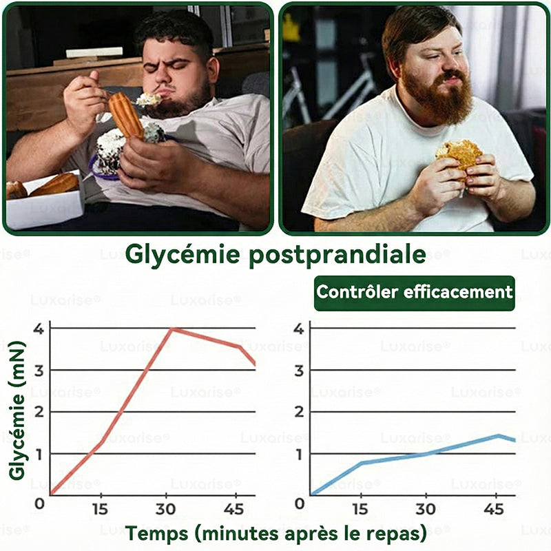 Magasin Officiel |✅ Luxarise® Moringa & Bérbérine 10-en-1 Patch Nanomicro-aiguilles Avancé (Une application quotidienne, résultats visibles en 7 jours)  Obésité, Diabète, Apnée du sommeil, Problèmes articulaires👍